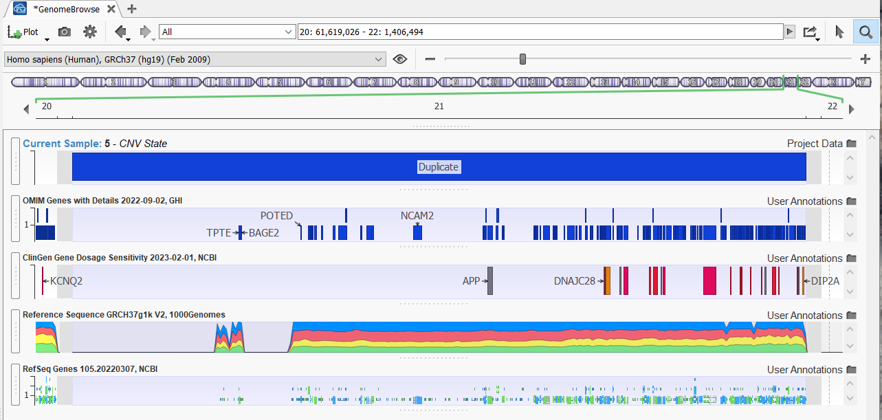 CNV Visualization