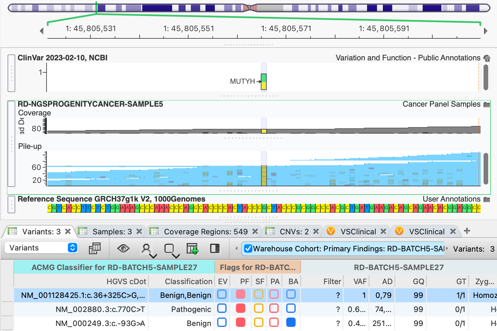 Golden Helix GenomeBrowse Pileup View